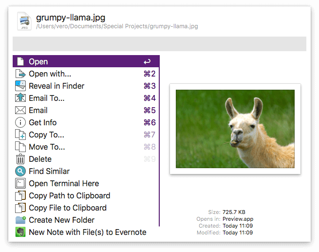 File Preview - Grumpy Llama
